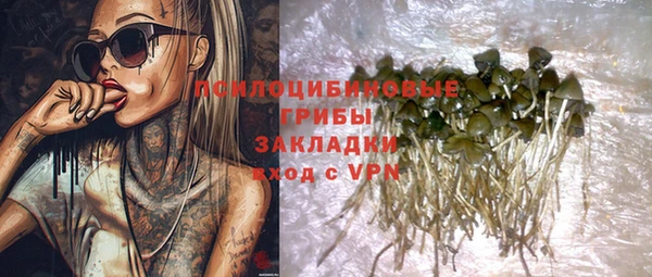 хмурый Гусев