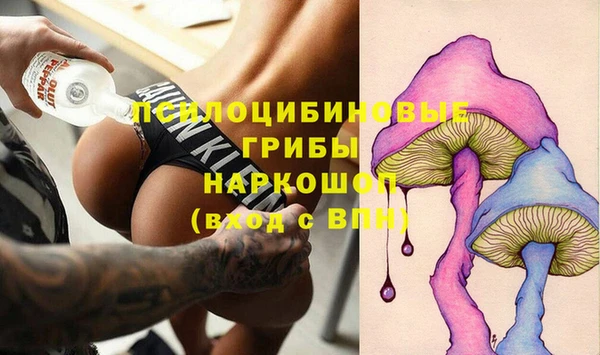 а пвп мука Гусиноозёрск