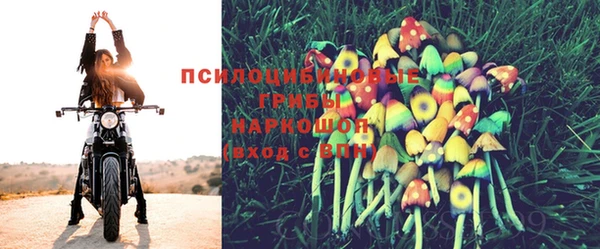 mdma Дмитров