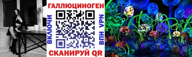 нарко площадка Telegram  цена   Орск  Псилоцибиновые грибы Cubensis 